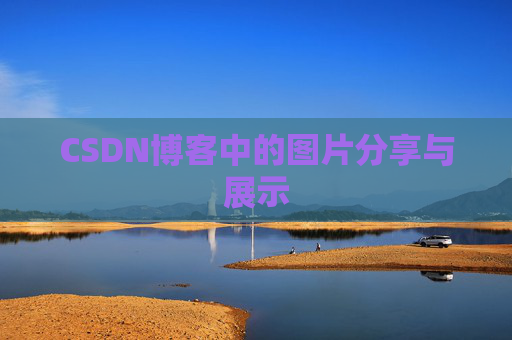 CSDN博客中的图片分享与展示